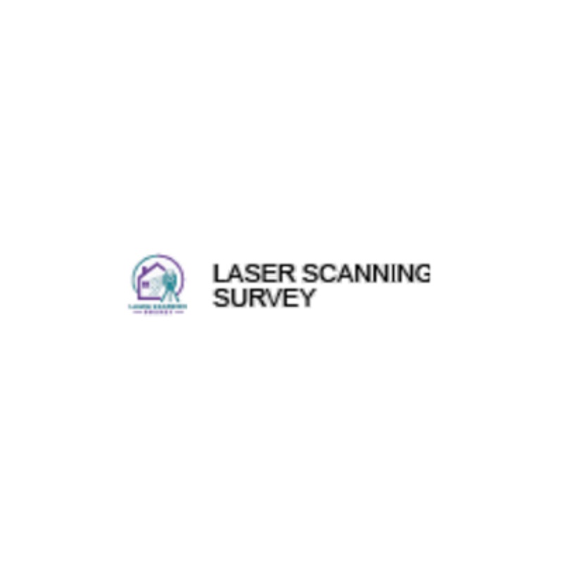 Laser Scanning Survey Ltd
